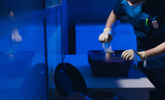 What happens to our frozen embryos if we separate?