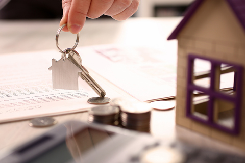 How does the first home owner’s grant affect my property settlement?